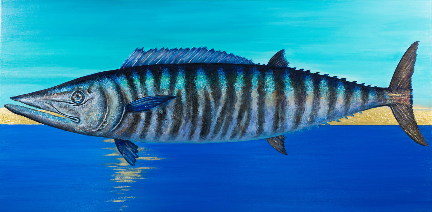 Wahoo Marea Dorada