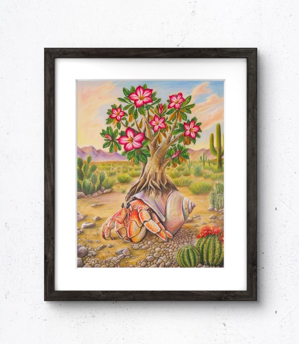 The Hermit's Path - Limited Fine Art Print