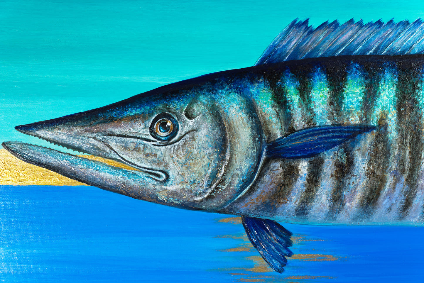 Wahoo Marea Dorada